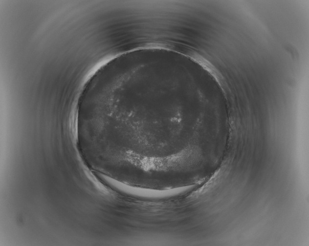X0000113761127200910141042