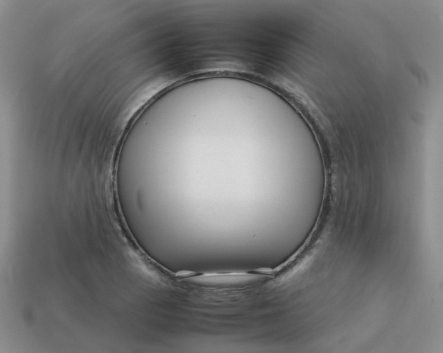 X0000113761129200910141042