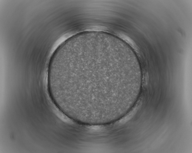 X0000113761130200910141042