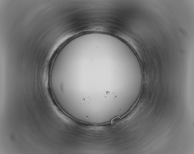 X0000113761131200910141042
