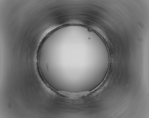 X0000113761133200910141042