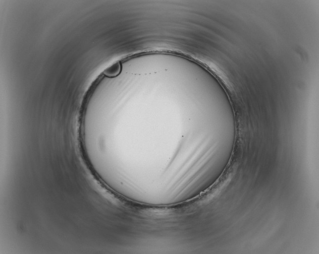 X0000113761134200910141042