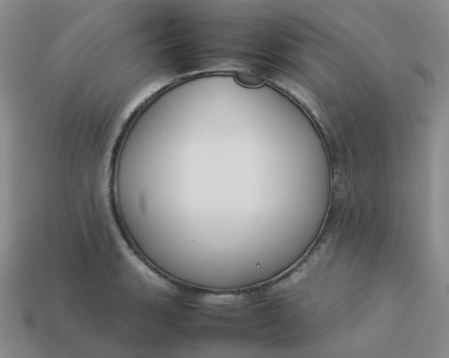 X0000113761135200910141042