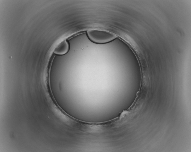 X0000113761136200910141042