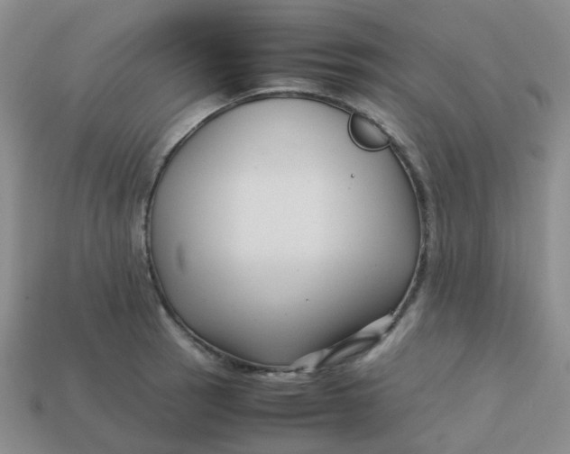 X0000113761137200910141042