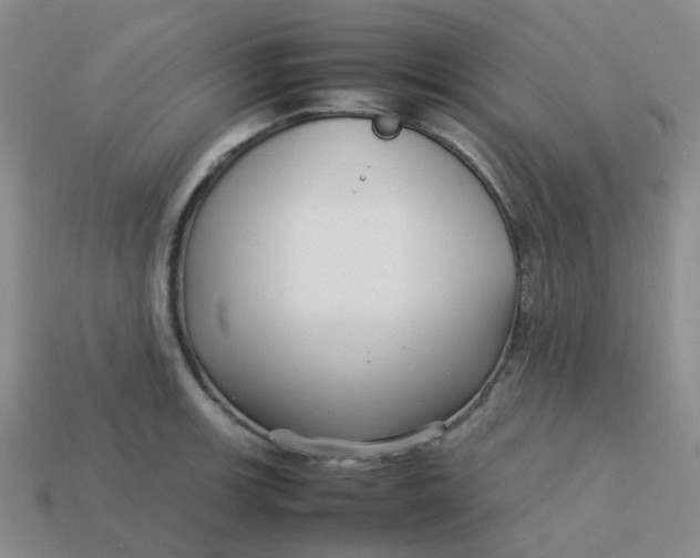 X0000113761139200910141042
