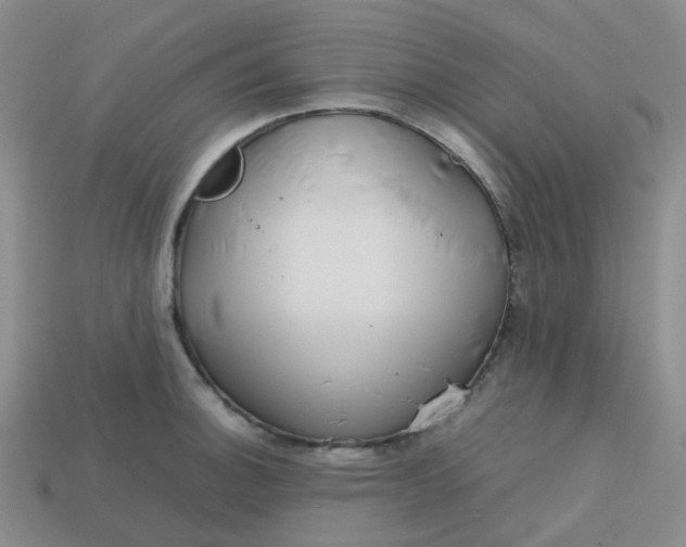 X0000113761140200910141042