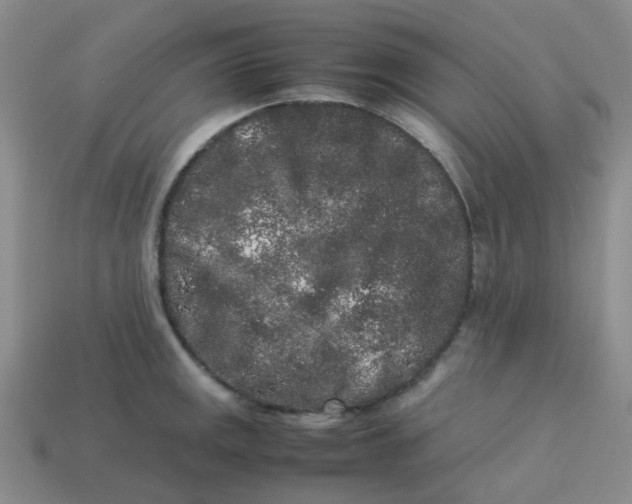 X0000113761141200910141042