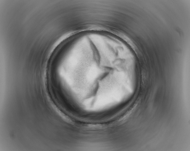 X0000113761142200910141042