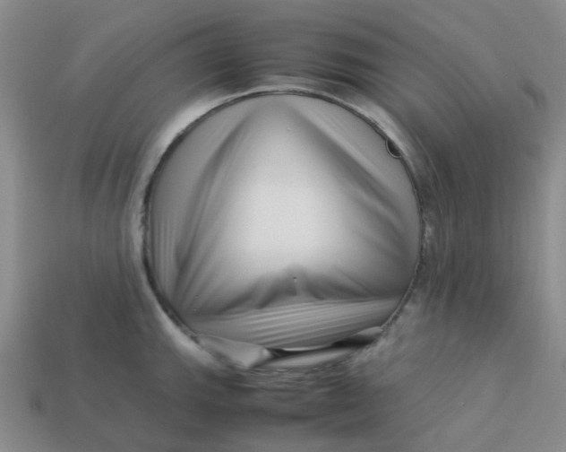 X0000113761143200910141042