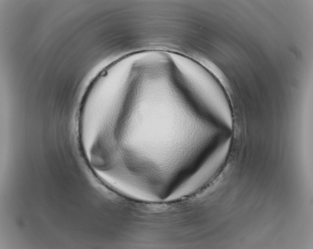 X0000113761144200910141042