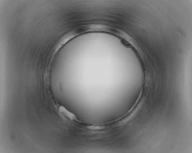 X0000113761145200910141042