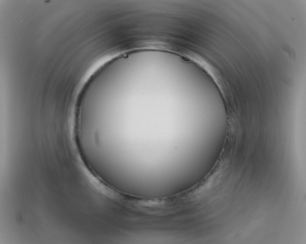 X0000113761147200910141042