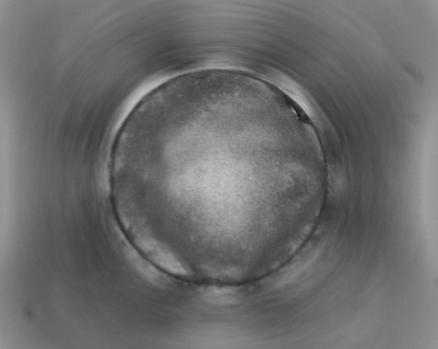 X0000113761148200910141042