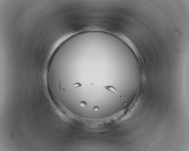 X0000113761149200910141042