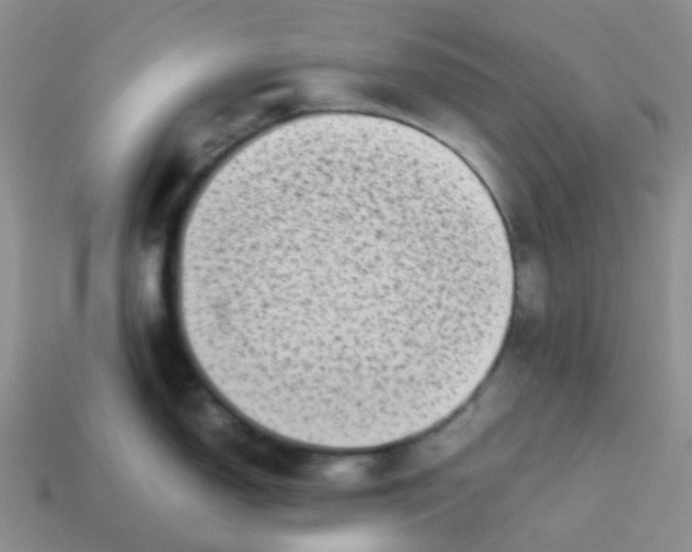 X0000113761150200910141042