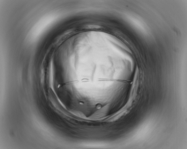 X0000113761151200910141042