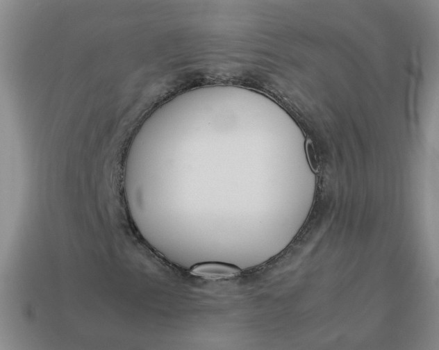 X0000113761153200910141042