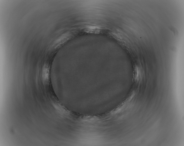 X0000113761154200910141042