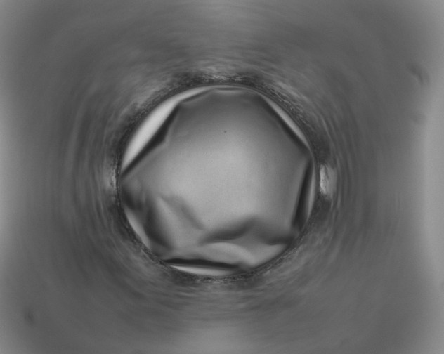 X0000113761155200910141042