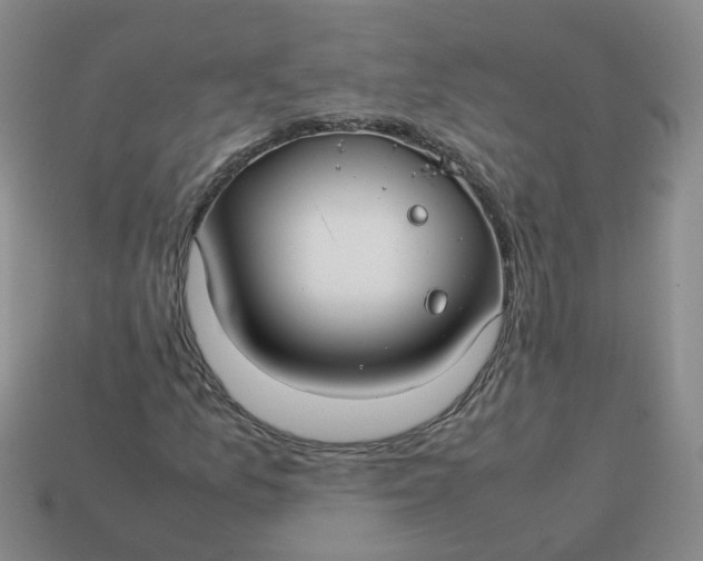 X0000113761157200910141042