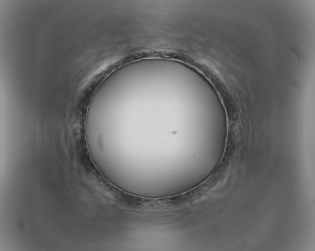 X0000113761159200910141042