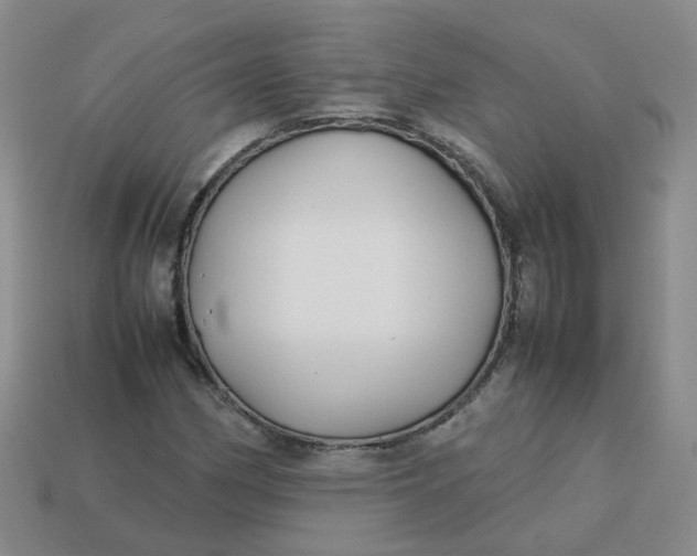 X0000113761162200910141042
