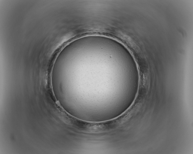 X0000113761165200910141042