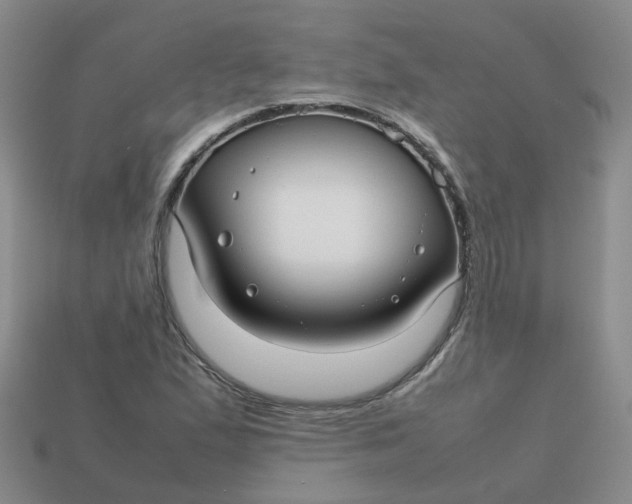 X0000113761167200910141042