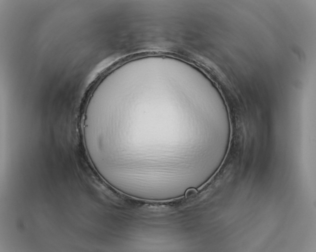 X0000113761168200910141042