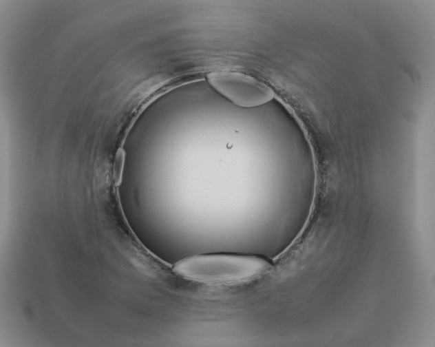 X0000113761169200910141042
