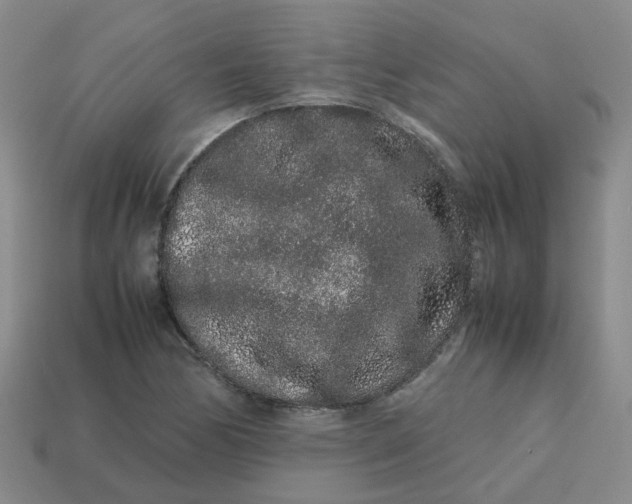 X0000113761170200910141042