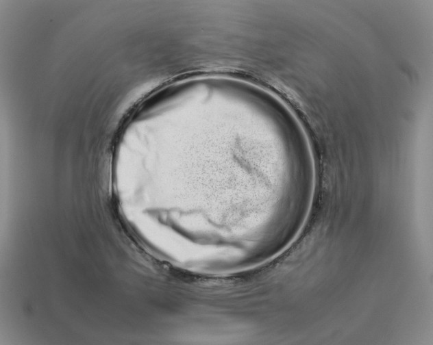 X0000113761171200910141042