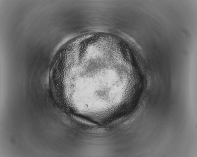 X0000113761174200910141042