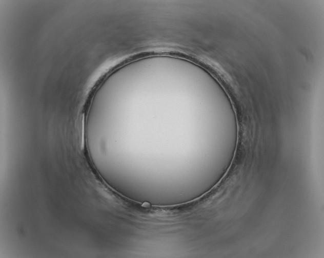 X0000113761175200910141042