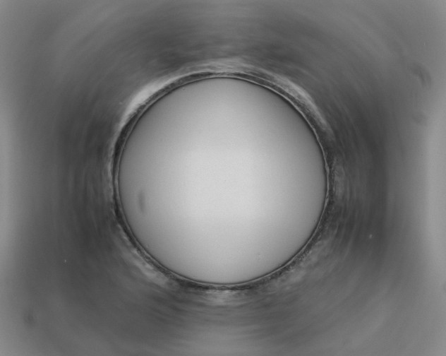 X0000113761176200910141042