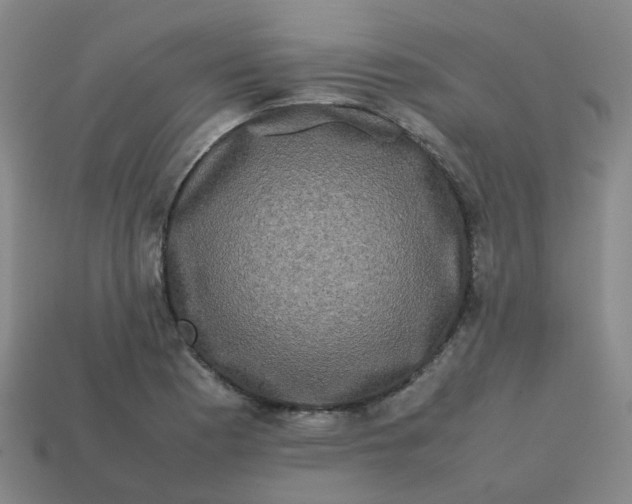 X0000113761177200910141042