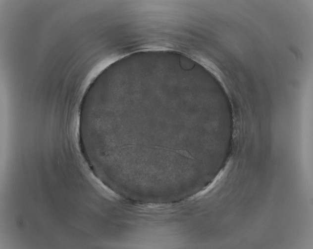 X0000113761179200910141042
