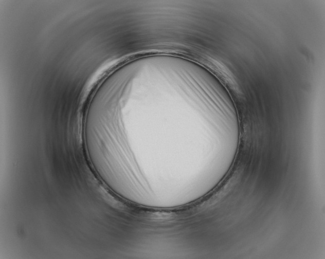 X0000113761180200910141042