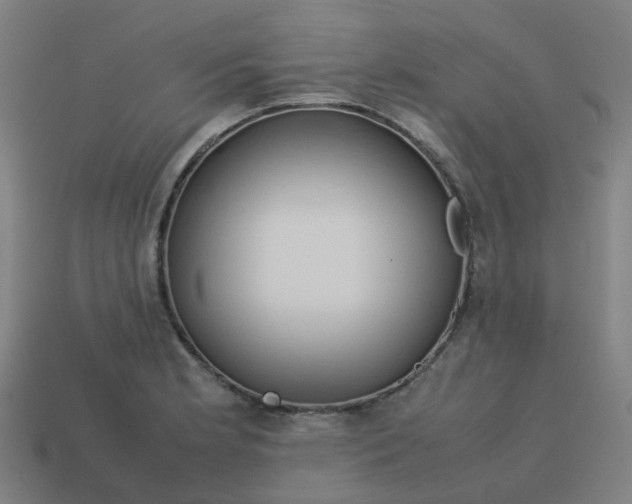 X0000113761181200910141042