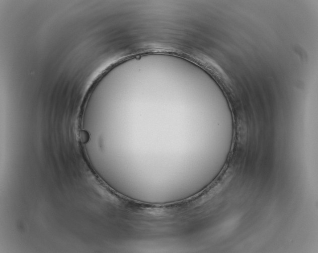 X0000113761182200910141042