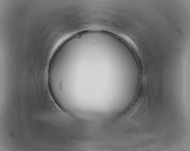 X0000113761183200910141041