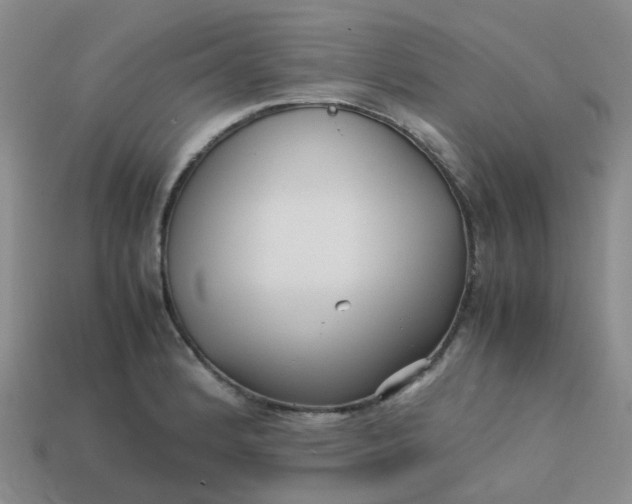 X0000113761184200910141041