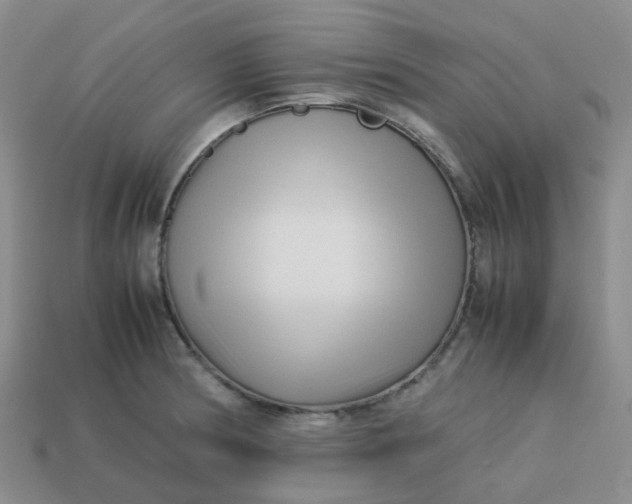 X0000113761186200910141041