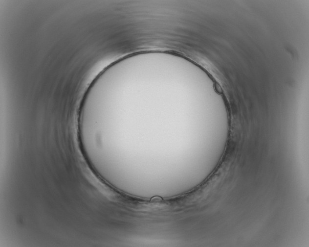 X0000113761187200910141041