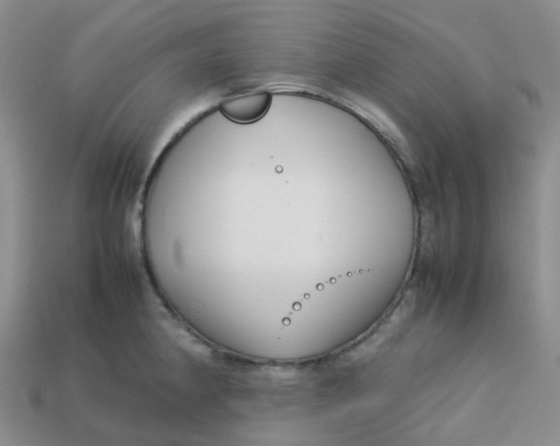 X0000113761190200910141041