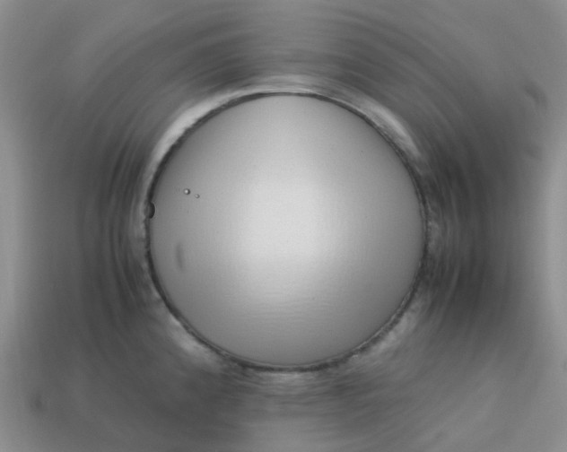 X0000113761192200910141041