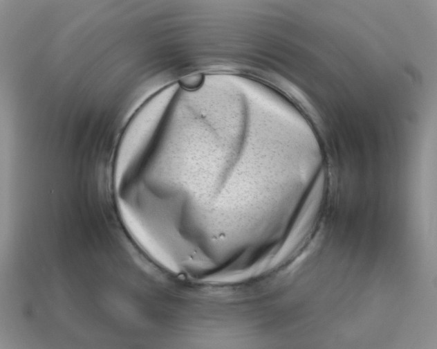 X0000113761194200910141041