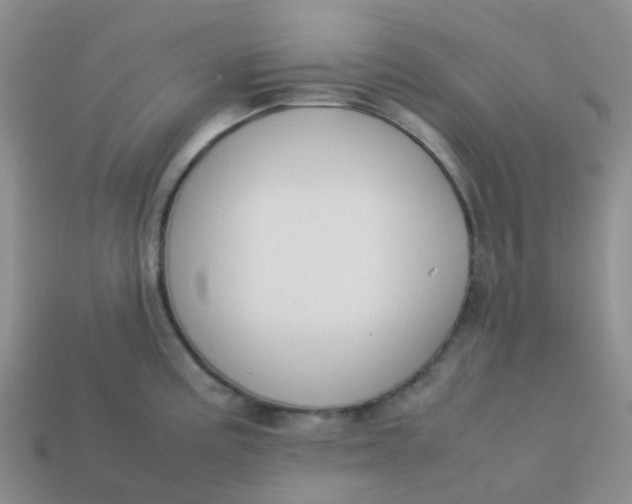 X0000113761195200910141041