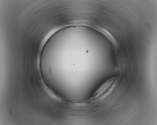 X0000113761196200910141041